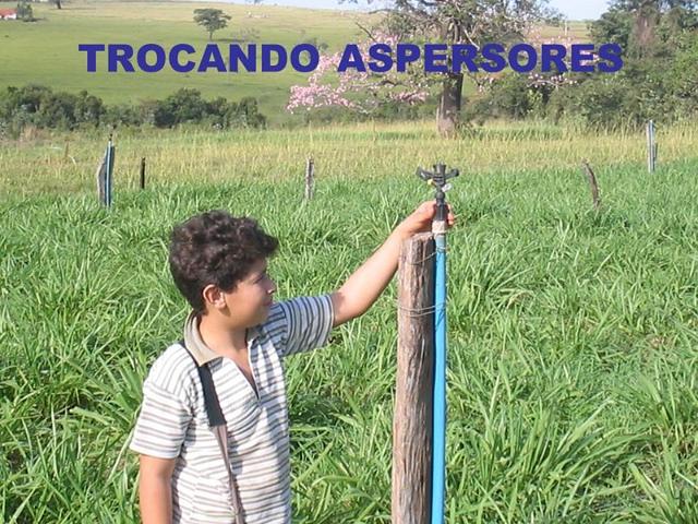 dracen_18_maio_2013 (97).JPG